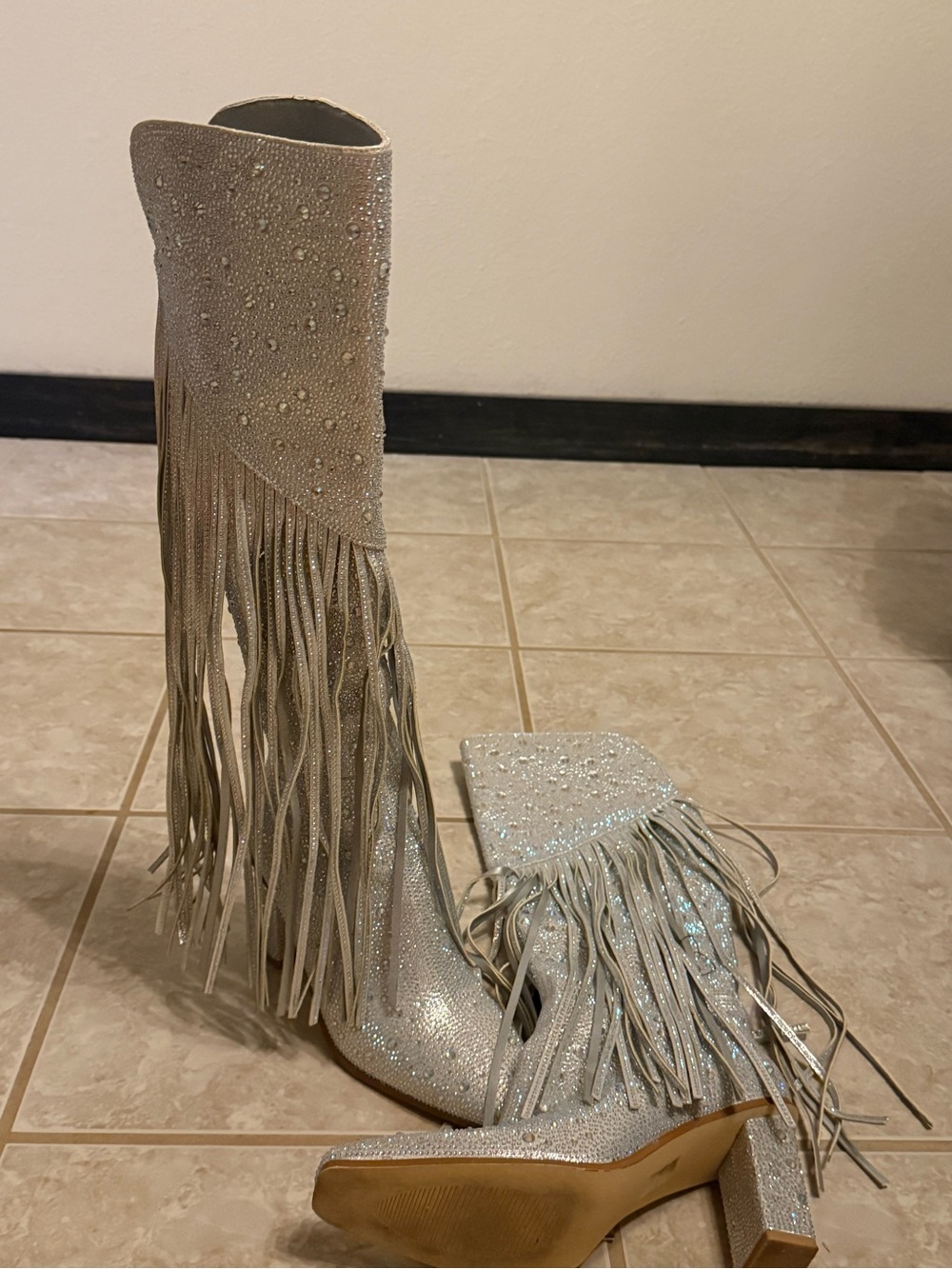 Glitter Fringe Knee-High Boots in Silver